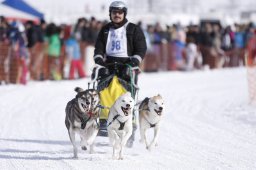 Lenk 2013